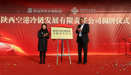 ?????_20181224093235.png ?????_20181224093235.png