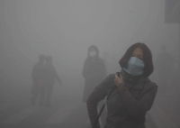 前11個月我市鐵腕治霾亮出成績單