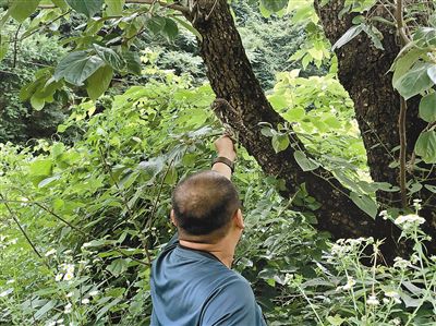 16729101473183798559.jpg 16729101473183798559.jpg