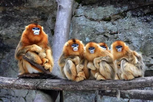 微信圖片_20200310112919.jpg 微信圖片_20200310112919.jpg