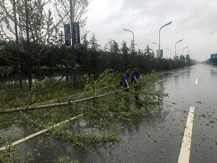 bd5878cbd9120303ab323b08517be7c.jpg bd5878cbd9120303ab323b08517be7c.jpg