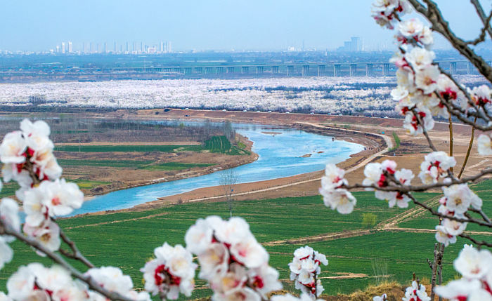 微信圖片_20200313160405.png 微信圖片_20200313160405.png