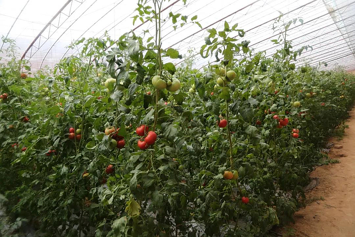 微信圖片_20210429092043.jpg 微信圖片_20210429092043.jpg