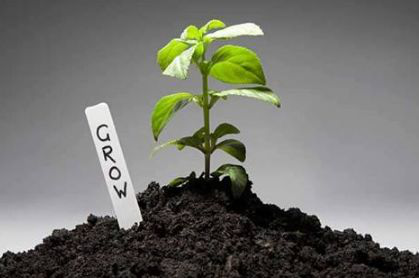 圖片2.png 圖片2.png