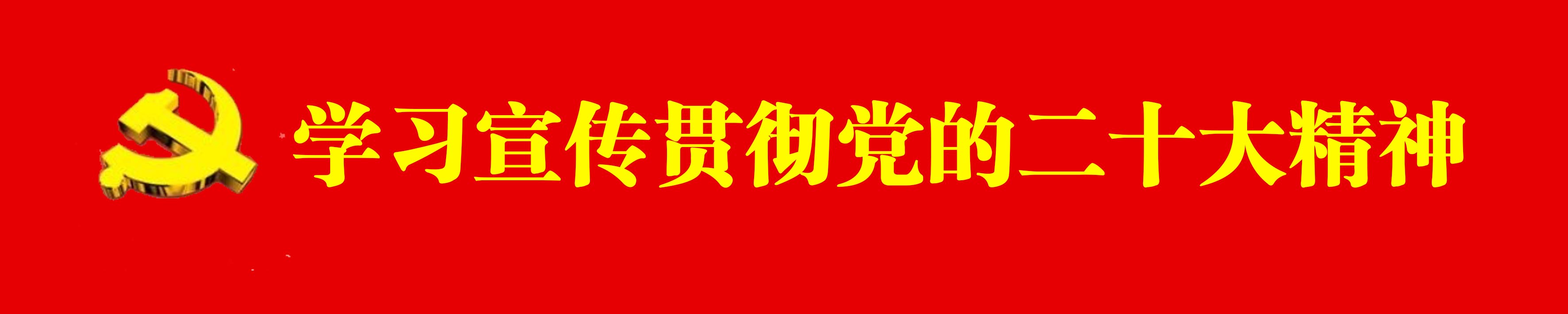 學(xué)習(xí)宣傳貫徹黨的二十大精神