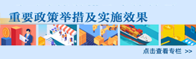 重要政策舉措及實(shí)施效果