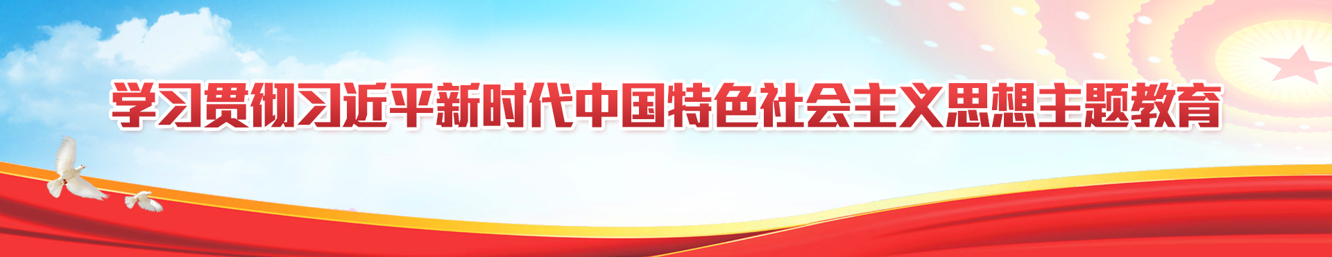 學習貫徹習近平新時代中國特色社會主義思想主題教育（已歸檔）